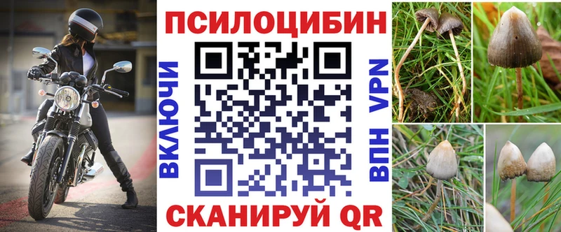 Псилоцибиновые грибы Magic Shrooms  Купить где  Пыталово 